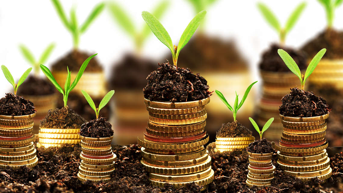 From Survival to Growth: How Nigerian Vendors Can Win Despite Economic Challenges