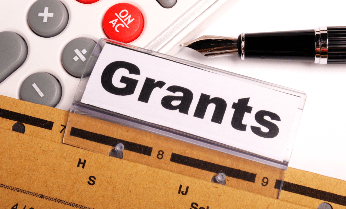 Unlock Your Entrepreneurial Potential with the SMEDAN ICSS Grow Fund